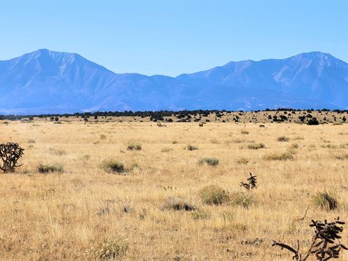Sunny Mountain Backdrop : Walsenburg : Huerfano County : Colorado