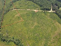 Fayette 11 Hunting And Recreation : Fayette : Alabama