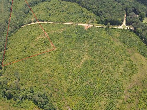 Fayette 11 Hunting And Recreation : Fayette : Alabama