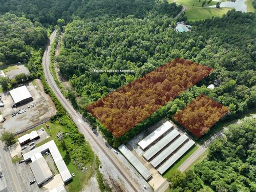 6 Acre Lot Pell City : Pell City : Saint Clair County : Alabama