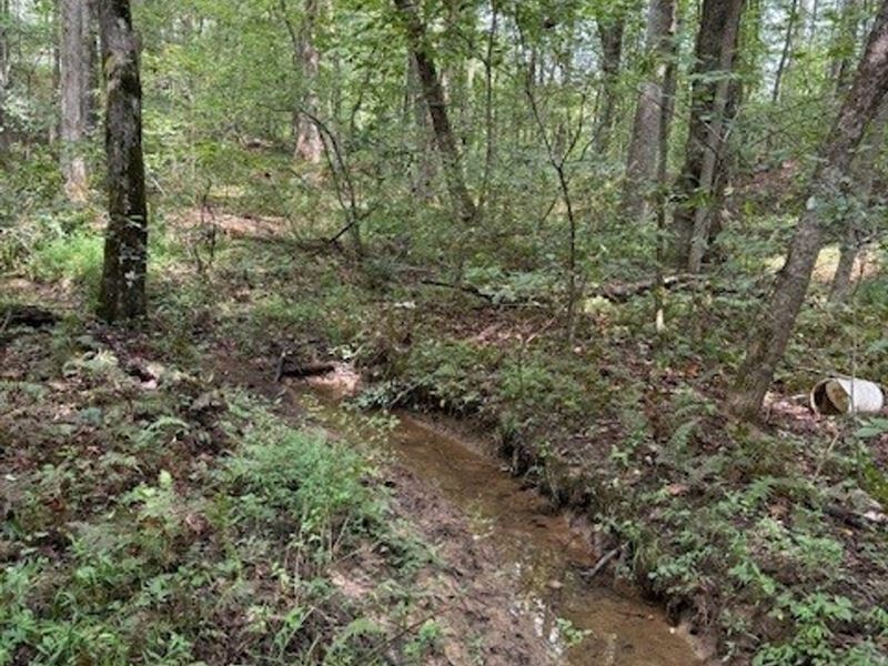 5.27 Acres Unrestricted Wooded pr : Tracy City : Grundy County : Tennessee