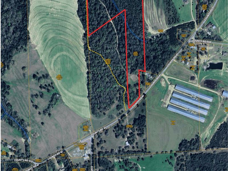 For Sale-Al Dale Co Rd 61 18Ac : Midland City : Dale County : Alabama
