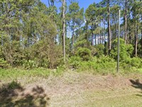 Build or Invest in Georgetown, FL : Georgetown : Putnam County : Florida