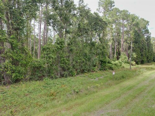 Build or Invest in Georgetown, FL : Georgetown : Putnam County : Florida