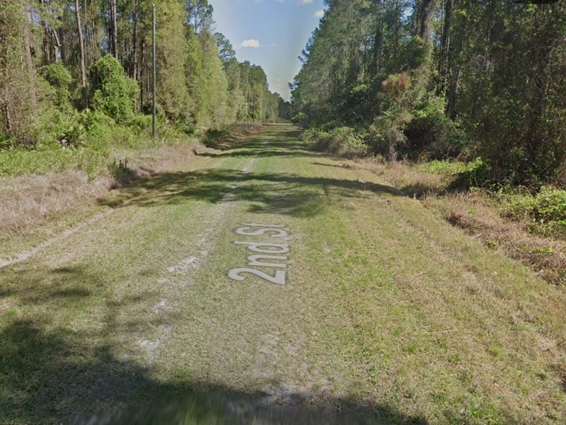 Build or Invest in Georgetown, FL : Georgetown : Putnam County : Florida