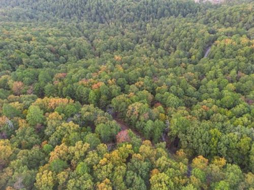 Wooded with Power & Water : Hot Springs Village : Saline County : Arkansas