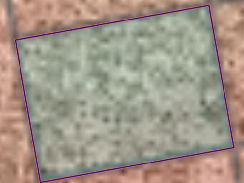 Untamed Valle Vista Mohave : Valle Vista : Mohave County : Arizona