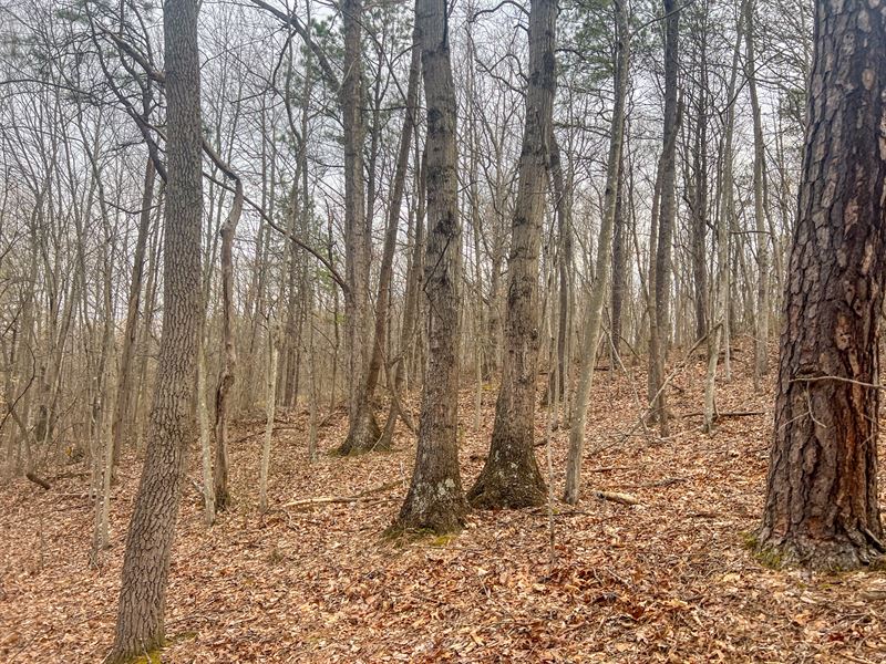Ponetown Rd Lot 1 : Ray : Vinton County : Ohio
