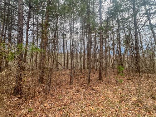 Ponetown Rd Lot 2 : Ray : Vinton County : Ohio