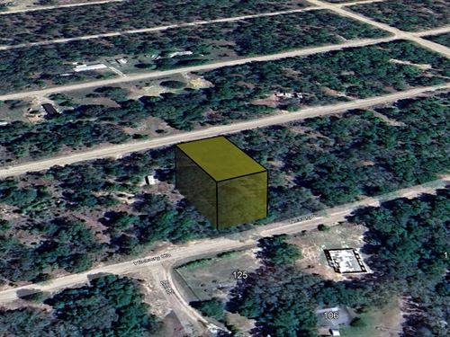 Build Your Florida Escape $199 Down : Interlachen : Putnam County : Florida