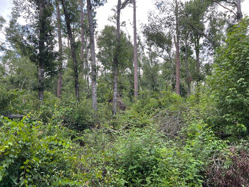 Private Get A Way : Live Oak : Suwannee County : Florida