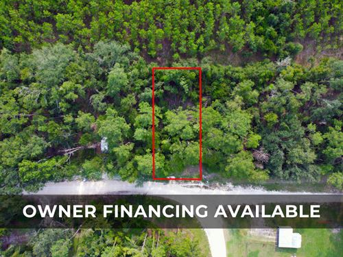 Homesite with Power on Site : Live Oak : Suwannee County : Florida