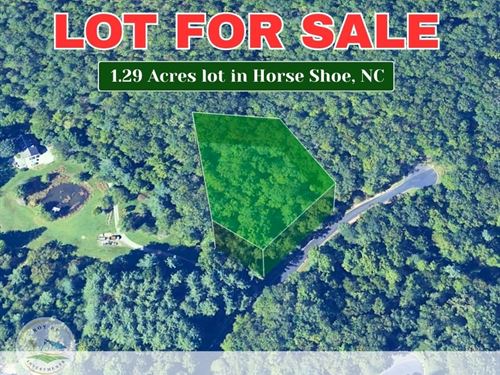 1.29 Acre Lot in Horse Shoe, NC : Horse Shoe : Henderson County : North Carolina