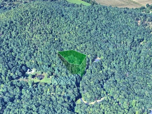 1.29 Acre Lot in Horse Shoe, NC : Horse Shoe : Henderson County : North Carolina