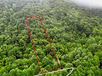 2.74 Acres in Hendersonville, NC : Hendersonville : Henderson County : North Carolina