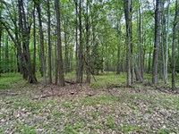 Treasure Lake, Lot 84 Section 18 : Dubois : Clearfield County : Pennsylvania