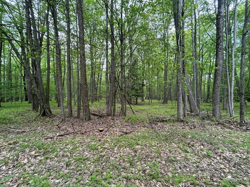 Treasure Lake, Lot 84 Section 18 : Dubois : Clearfield County : Pennsylvania