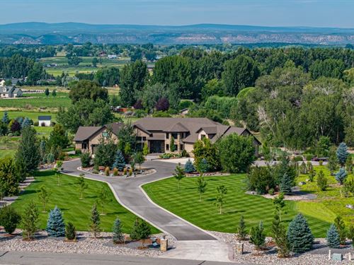 Montrose, CO Luxury Home on Land Fo : Montrose : Colorado