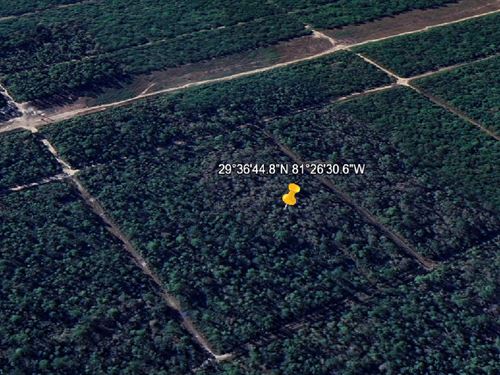 Invest in Flagler Only $199 Down : Hastings : Flagler County : Florida