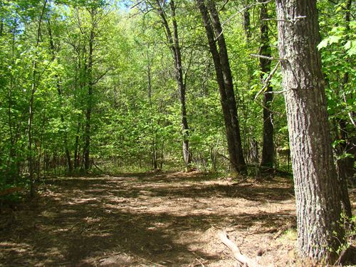 6 Acres Near Lake Nokomis Tomahawk : Tomahawk : Oneida County : Wisconsin