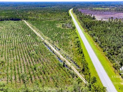 20 Ac Mini-Farm Homesite Lot : Wewahitchka : Gulf County : Florida