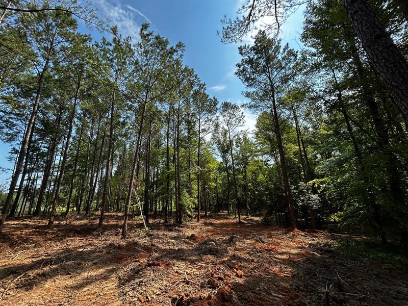 Midway 8, Tishomingo County, Missi : Iuka : Tishomingo County : Mississippi