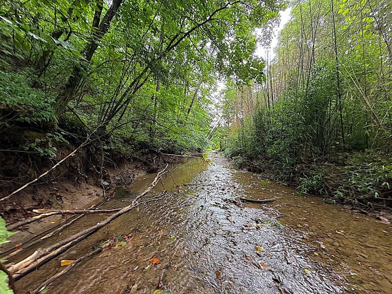 Paw Paw Rd, 7 Acres : Lower Salem : Noble County : Ohio