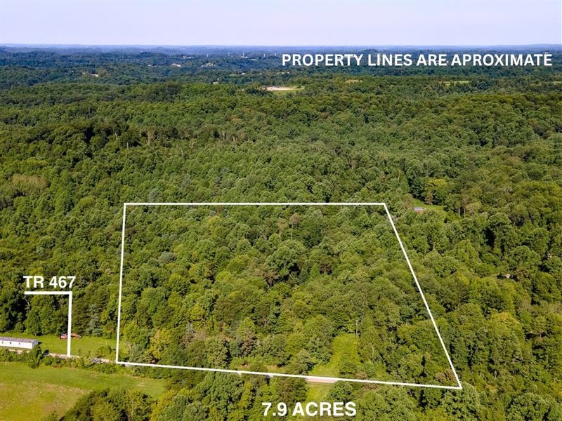 TR 467, 7 Acres : Woodsfield : Monroe County : Ohio