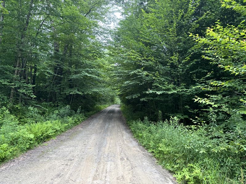 Near Salmon River Reservoir : Redfield : Oswego County : New York