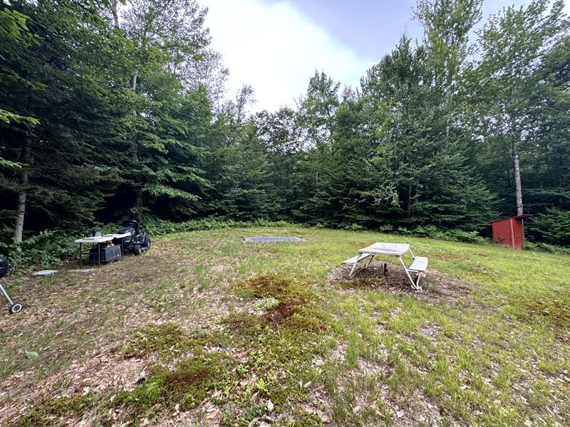 Close to Salmon River Reservoir : Redfield : Oswego County : New York