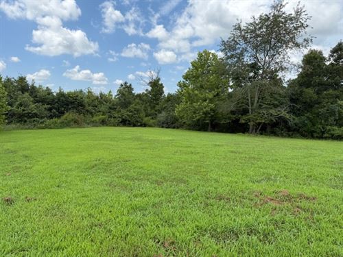 Missouri Homestead with Cabin : Mountain View : Texas County : Missouri