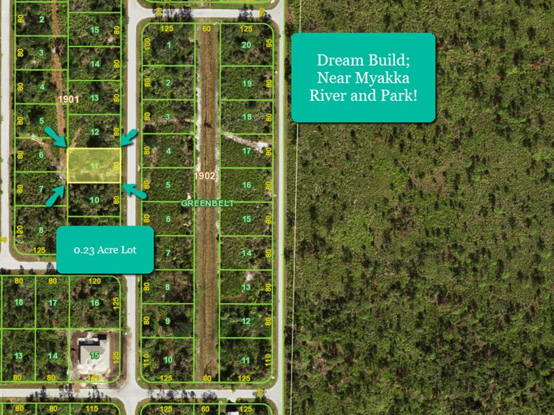 Everyday Life on Sunlit Riverbank : Port Charlotte : Charlotte County : Florida