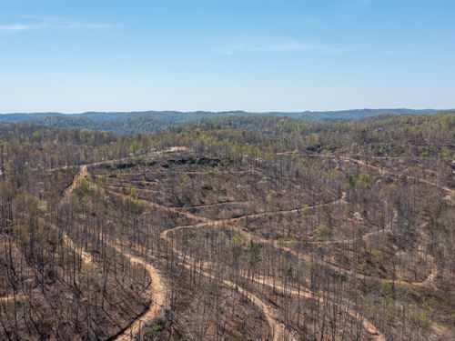 $999 Down/No Credit Check : Mount Vernon : Rockcastle County : Kentucky