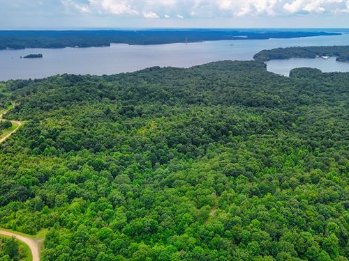 3.16 Acres Near Dover, TN : Stewart : Tennessee