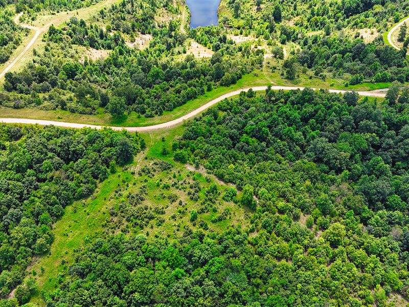 4 Acres Near Dover, TN : Stewart : Stewart County : Tennessee