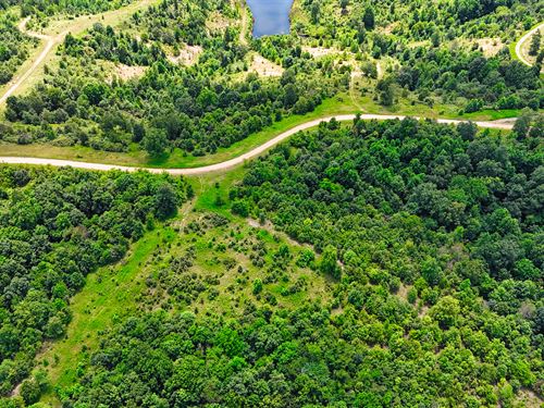 4 Acres Near Dover, TN : Stewart : Tennessee