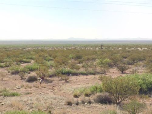 10 Acres of Farming Grassland : Columbus : Luna County : New Mexico