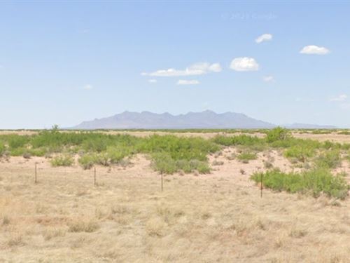 10 Acres of Farming Grassland : Columbus : Luna County : New Mexico