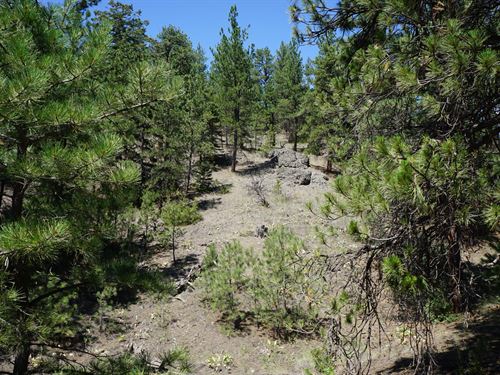 Dearborn Hideaway : Cascade : Montana