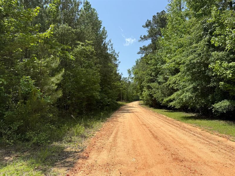 12 Acres with Tons of Potential : Tallassee : Macon County : Alabama