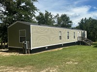 Scrub Oak Road : Sylvania : Screven County : Georgia