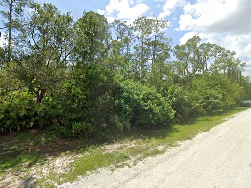 Escape to Sunshine and Space : Punta Gorda : Charlotte County : Florida