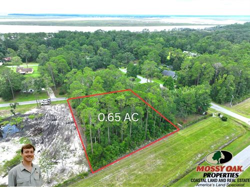 Cardinal Street : Woodbine : Camden County : Georgia