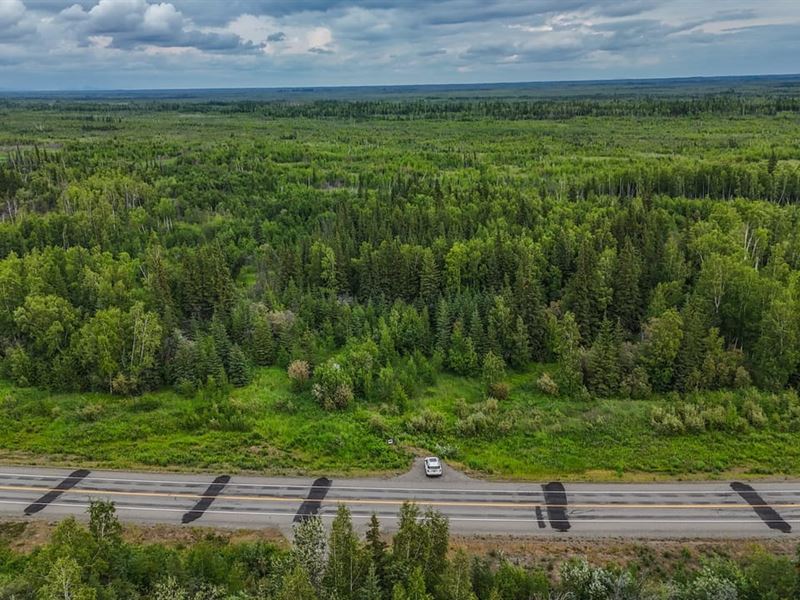 Mile 294.55 : Nenana : Yukon-Koyukuk Borough : Alaska
