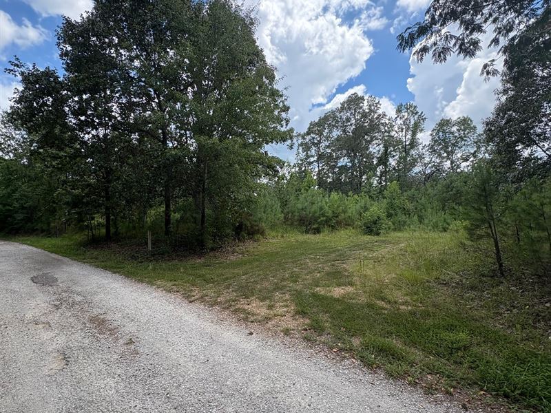 15.8 Acres Itawamba County, MS : Nettleton : Itawamba County : Mississippi