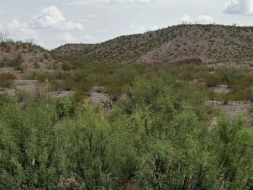 2 Acres in Presidio County, TX : Presidio : Texas