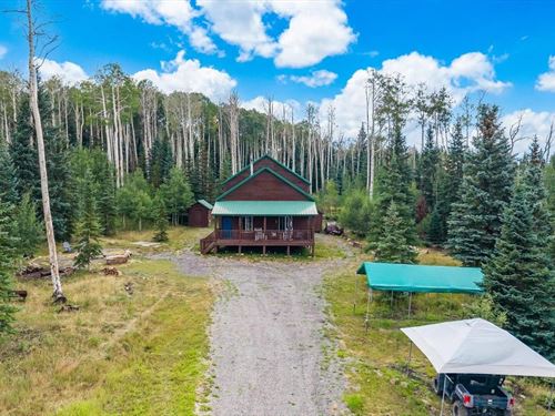 58203 Elk Drive, Montrose, CO 81403 : Montrose : Colorado