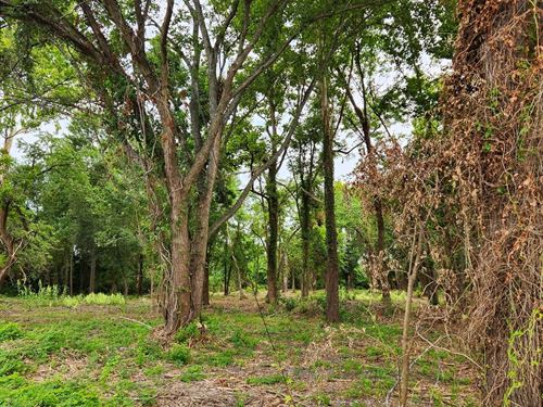 Commercial/Development Opportunity : Houston : Harris County : Texas
