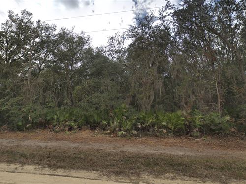 Spacious Lot in Interlachen $418/Mo : Interlachen : Putnam County : Florida