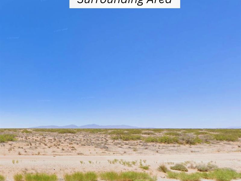 .56 Acre, 13 Mins to Horizon City : Horizon City : El Paso County : Texas